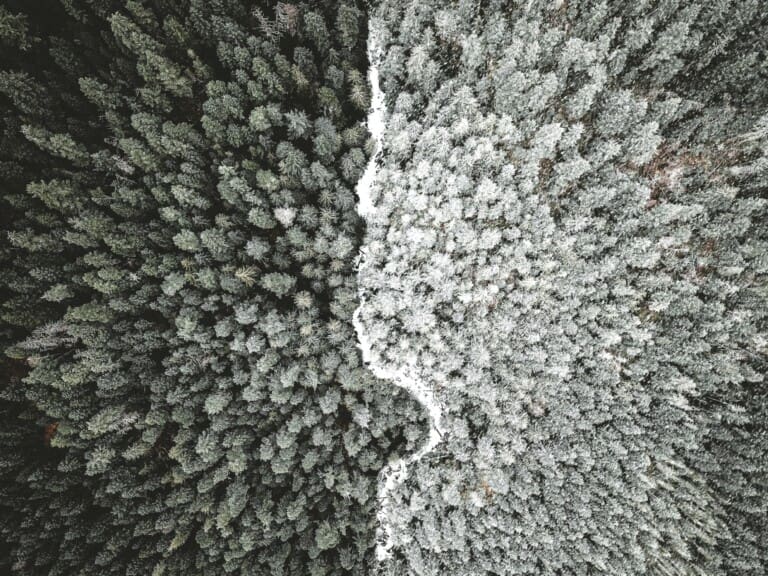 anthony-intraversato-493715-unsplash