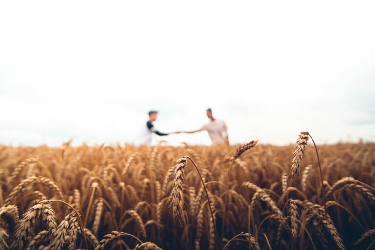 harvest-hands-scaled