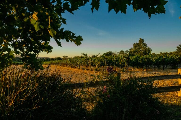 spencer-demera-2RIzht1yIxI-unsplash