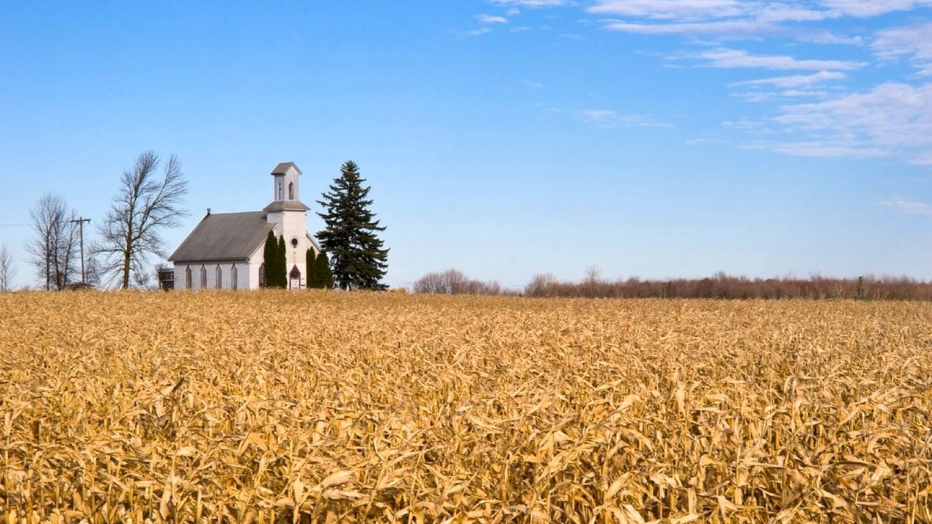 Church-in-Corn-Field