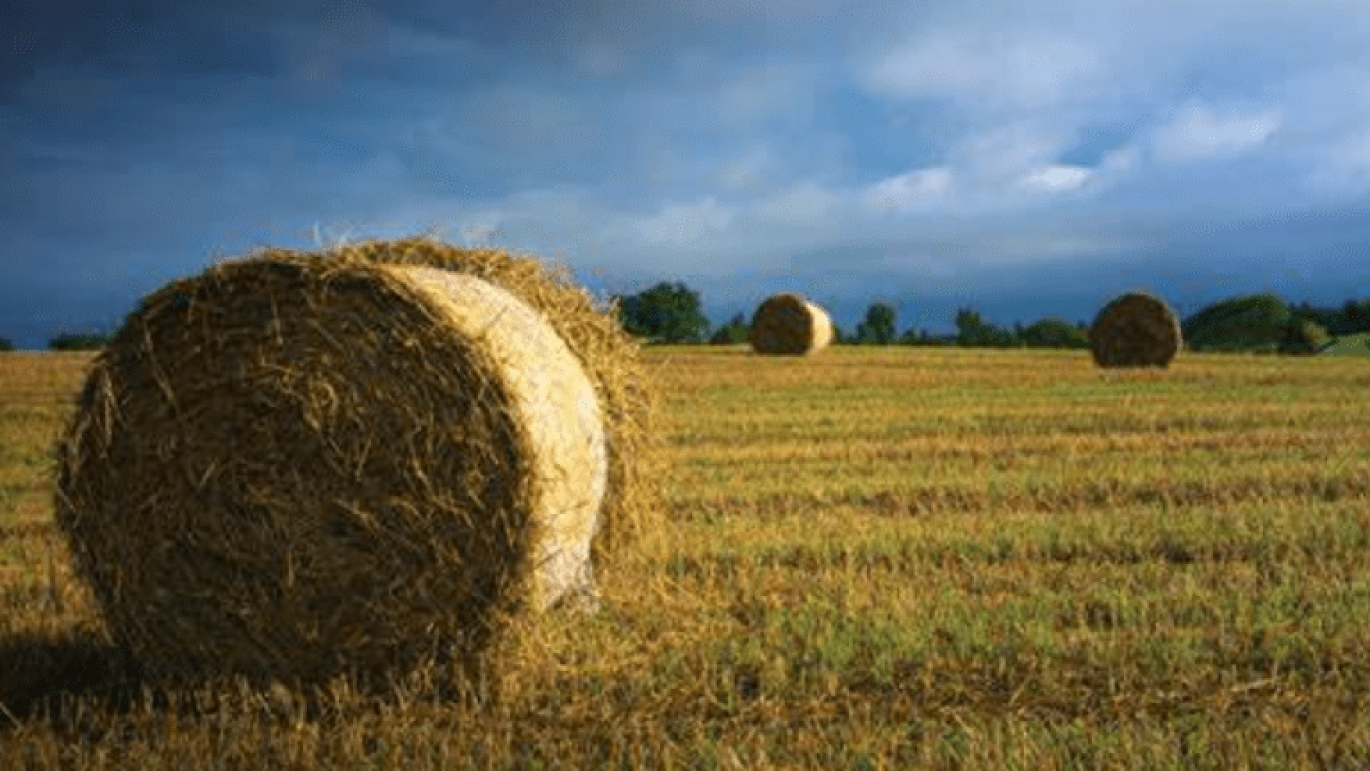 Hay-Bales-768x495