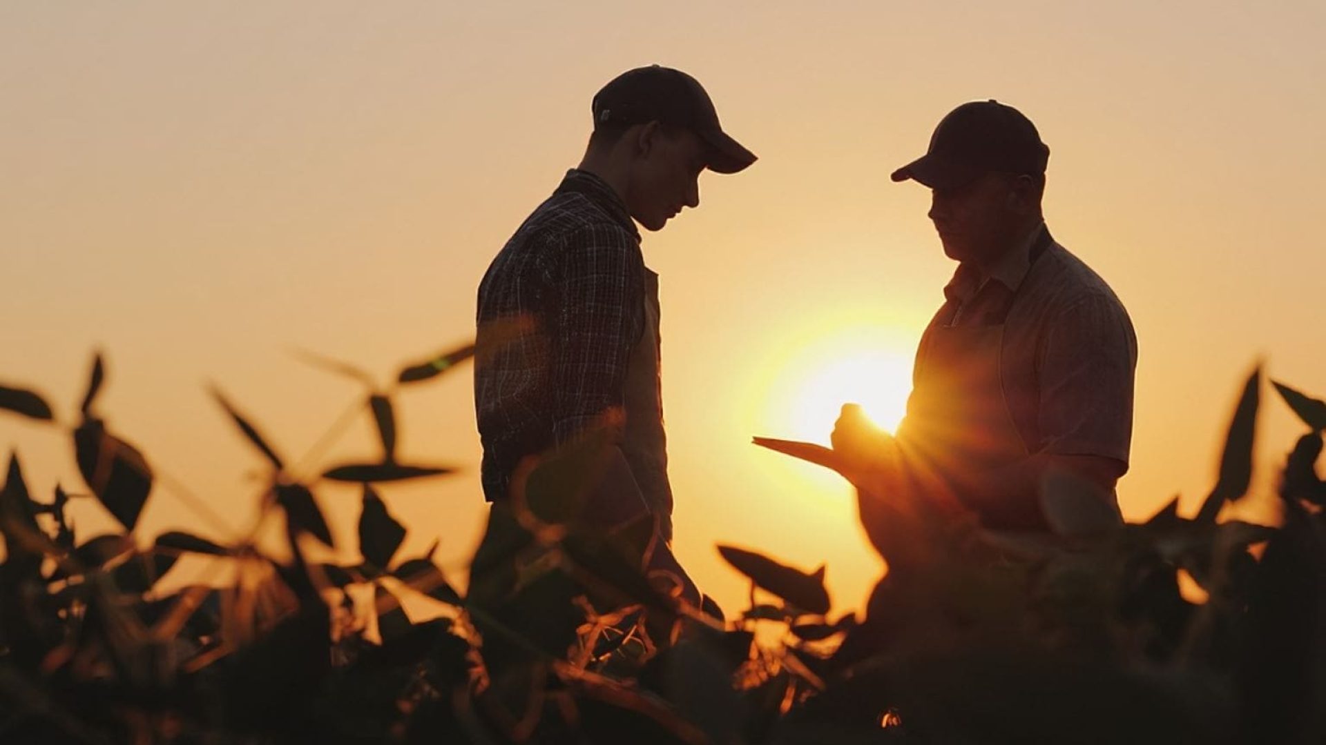 Two-Farmers-Talking