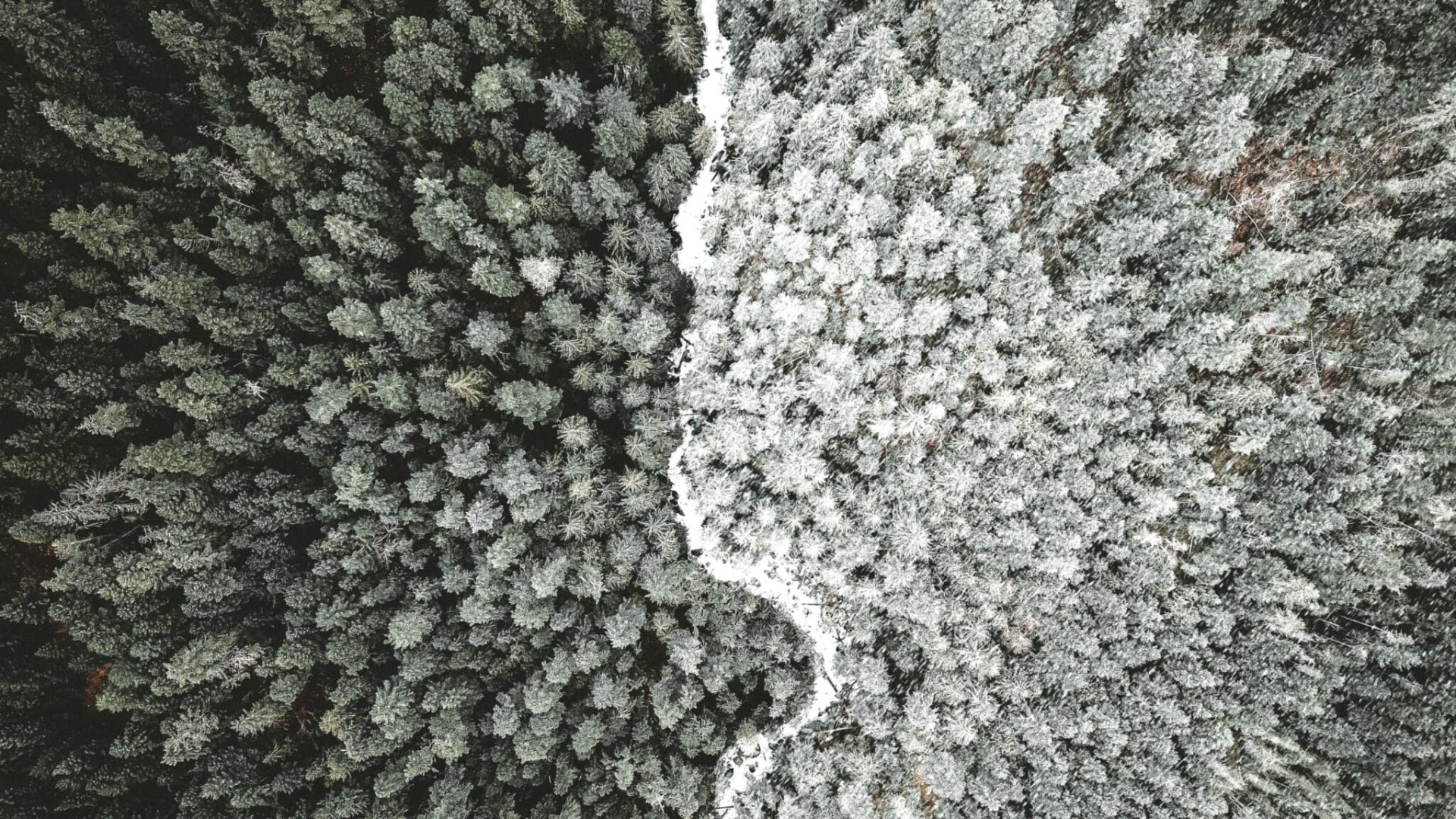 anthony-intraversato-493715-unsplash