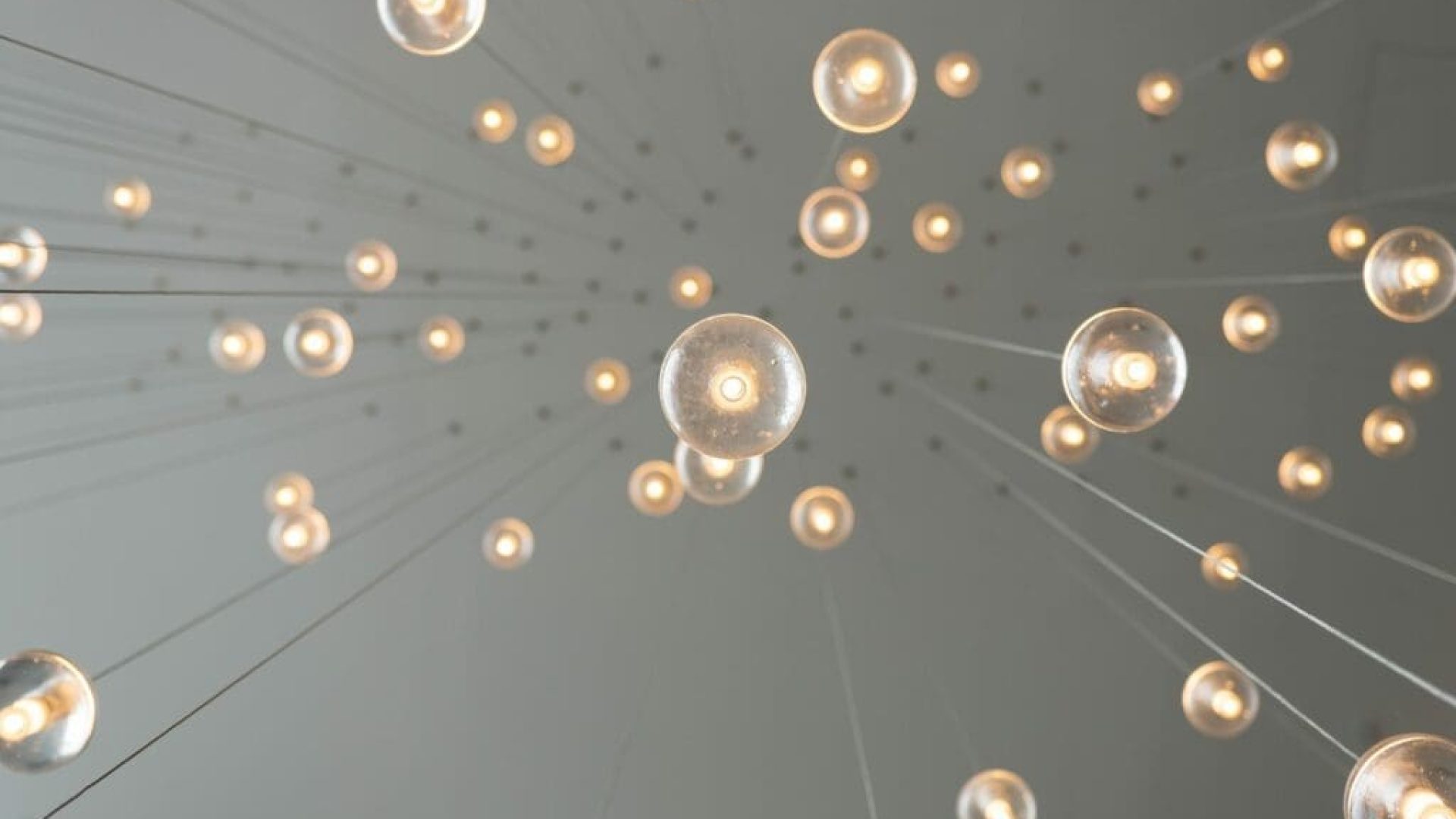 lights-above-scaled-1-1024x683-1